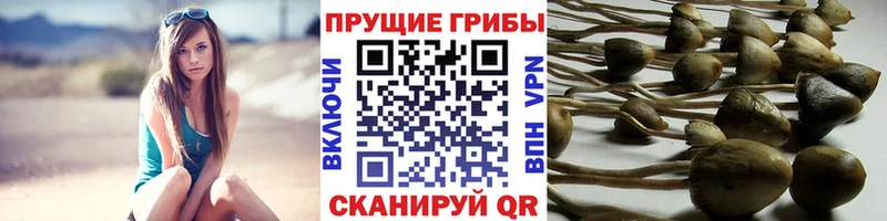 Галлюциногенные грибы MAGIC MUSHROOMS  Олёкминск 