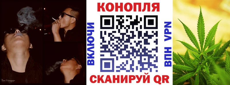 Шишки марихуана марихуана  где найти наркотики  Олёкминск 